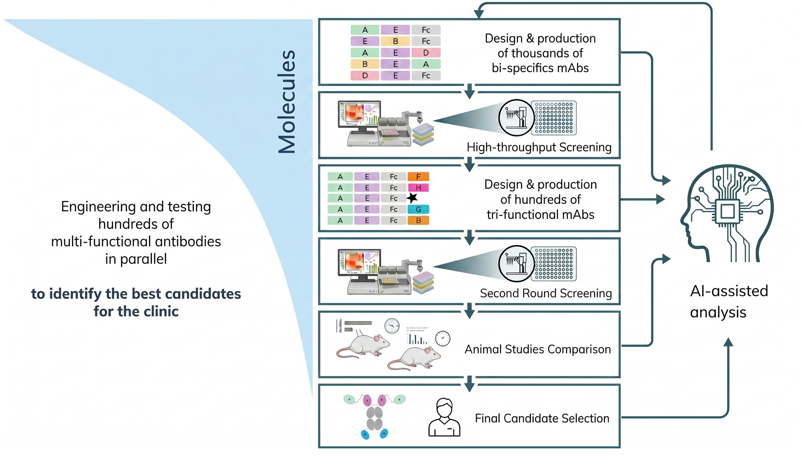 DotBio high-throughput workflow: design thousands of bi- and tri-specifics, screen, animal studies, AI-assisted analysis, final candidate selection
