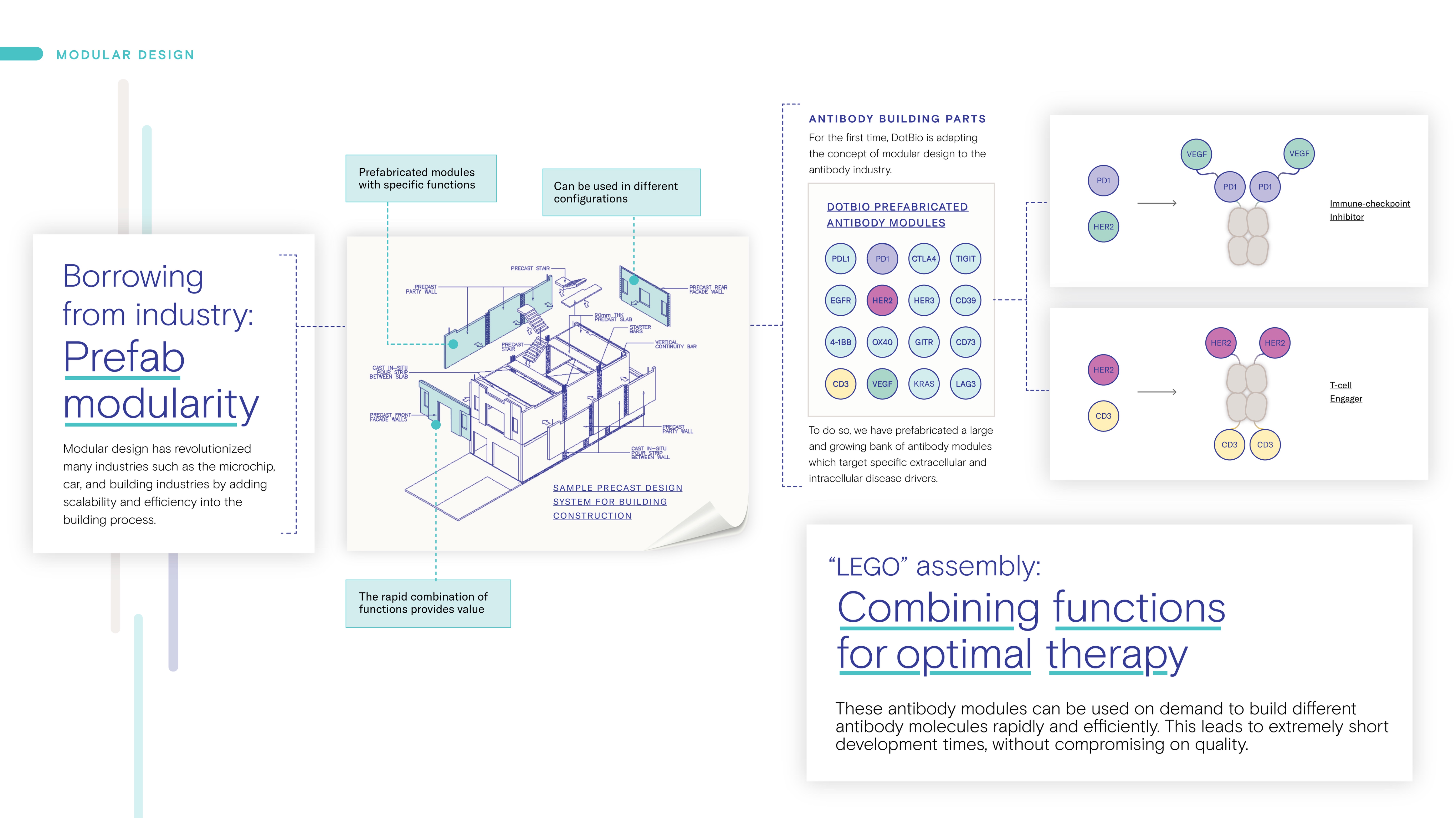 DotBio modular design — LEGO assembly of antibody modules